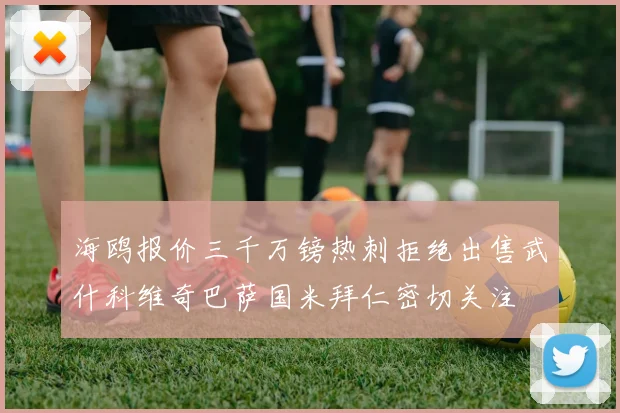 海鸥报价三千万镑热刺拒绝出售武什科维奇巴萨国米拜仁密切关注