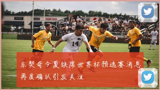 东契奇今夏缺席世界杯预选赛消息再度确认引发关注