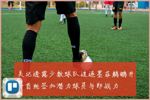 美记透露少数球队追逐墨菲鹈鹕开价首轮签加潜力球员与即战力