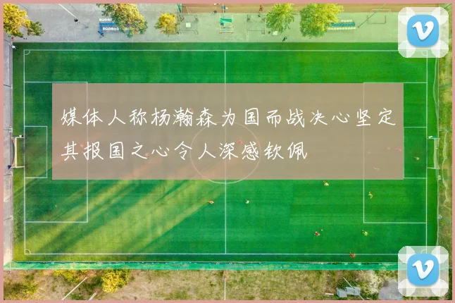 媒体人称杨瀚森为国而战决心坚定其报国之心令人深感钦佩